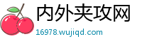 内外夹攻网